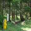 暑い日の里山はきついぜ