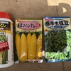 今年はトウモロコシを真面目に作ってみるかな