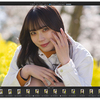 本日の現像から 2023.4.6 その5 ─ なるはちゃん 2023.3.19 富山県中央植物園 ─
