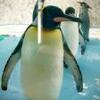 ZOO PARK
