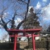 藤大明神＠前橋市亀里町