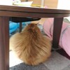今朝は普通？