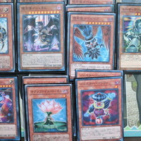 遊戯王 デッキレシピ 正位置は自力で アルカナフォースで永遠的に俺のターン アルカナフォース デッキレシピ アルカナフォースxxi The World 駄菓子屋keiちゃんの実質3畳のフィギュア部屋 フィギュアレビュー 秋葉原観光 秋葉原ランチetc