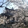【京都】『勧修寺』に行ってきました。 京都観光 京都旅行 女子旅 主婦ブログ