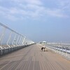 【続・NGOでTKG】中部国際空港セントレア【お花見帰国2019　その5】