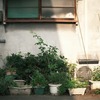 スマホが転生しました【フォト雑記】