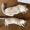 ８月３０日　出口はどこに