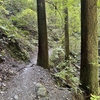 平日の一人軽登山