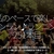 2918食目「私のペースで楽しくランラン♪ランニング251本目」スピンオフ企画「松田拓朗先生とゆかいな仲間たち」と一緒に走って、その後姪浜まで帰るコース