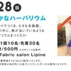 阪神西宮｜当日受付！2026年6月28日（日）コミュニティ応援イベント『WATASHiNO まなびば』が開催されます