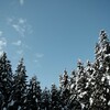 (Trail)大雪後の陣馬山〜高尾山