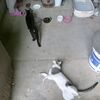 破滅の日は近い！！