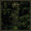 Dj Lemy & Niko Garcia remix for Levi by Lenz (DE)