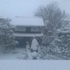 雪が積もる。