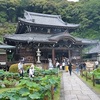 三室戸寺のハスとトンボ。