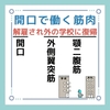 開口で働く筋肉のゴロ（覚え方）