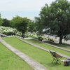 チェアリング スポット『水の広場公園』東京