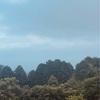 今朝の景色