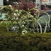 花冷え？寒の戻り？の晴明