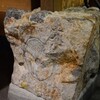 　江戸城の石垣と石丁場を訪ねて