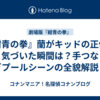 『紺青の拳』蘭がキッドの正体に気づいた瞬間は？手つなぎプールシーンの全貌解説！