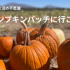 【暮らし】アメリカでパンプキンパッチ(Panpkin Patch)に行く