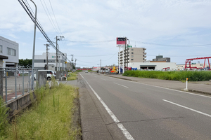 上越市の市街地にイノシシ出没　車や自転車に相次ぎ衝突