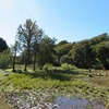 神代植物公園_水生植物園  （東京都調布市）