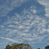 雲の写真９