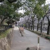 冬の散歩道