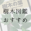 【厳選】樹種同定に欠かせない樹木図鑑おすすめ３冊