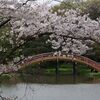 称名寺の桜と海の公園