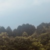 今朝の景色