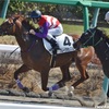 1/17(金) 浦和競馬メモ