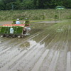 田植え