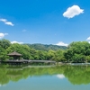 奈良公園に関する雑学！