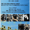 鴨方で8/22（日）予約制の子猫譲渡会が開催されるわ♪あさくちハッピーキャッツさん