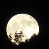 いつか見た月。