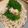 猫うどん