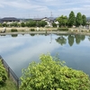 公園の池