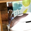 くっきー番長はミタ