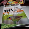 🦜野鳥の回【３】野鳥の種類を知る。野鳥大図鑑を買った