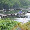 香芝の野池群（奈良県香芝）