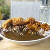 掃除してブログ書いてカレー作った日