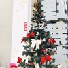 🎄クリスマスツリー登場🎄//藤岡店