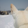 いよいよ　あと1日