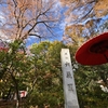 🍁六義園　日中の紅葉を紹介します😊