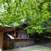 高千穂　くしふる神社　青もみじ