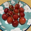 旅の続き…と🍒 