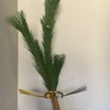 2018年 新年のご挨拶